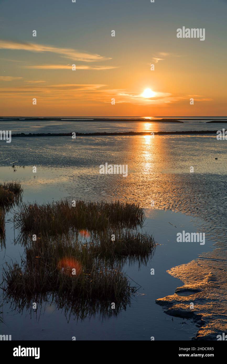 Abend am Wattenmeer / evening in tidal sea Stock Photo