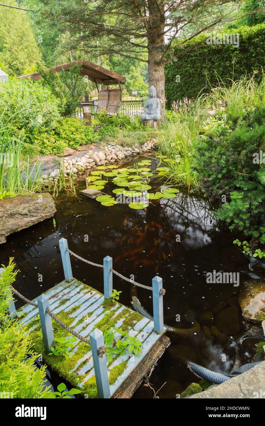Pond with floating blue painted miniature wooden footbridge, Iris pseudacorus - Yellow Flag, Baptisia 'Grape Taffy' - False Indigo, Wild Indigo. Stock Photo