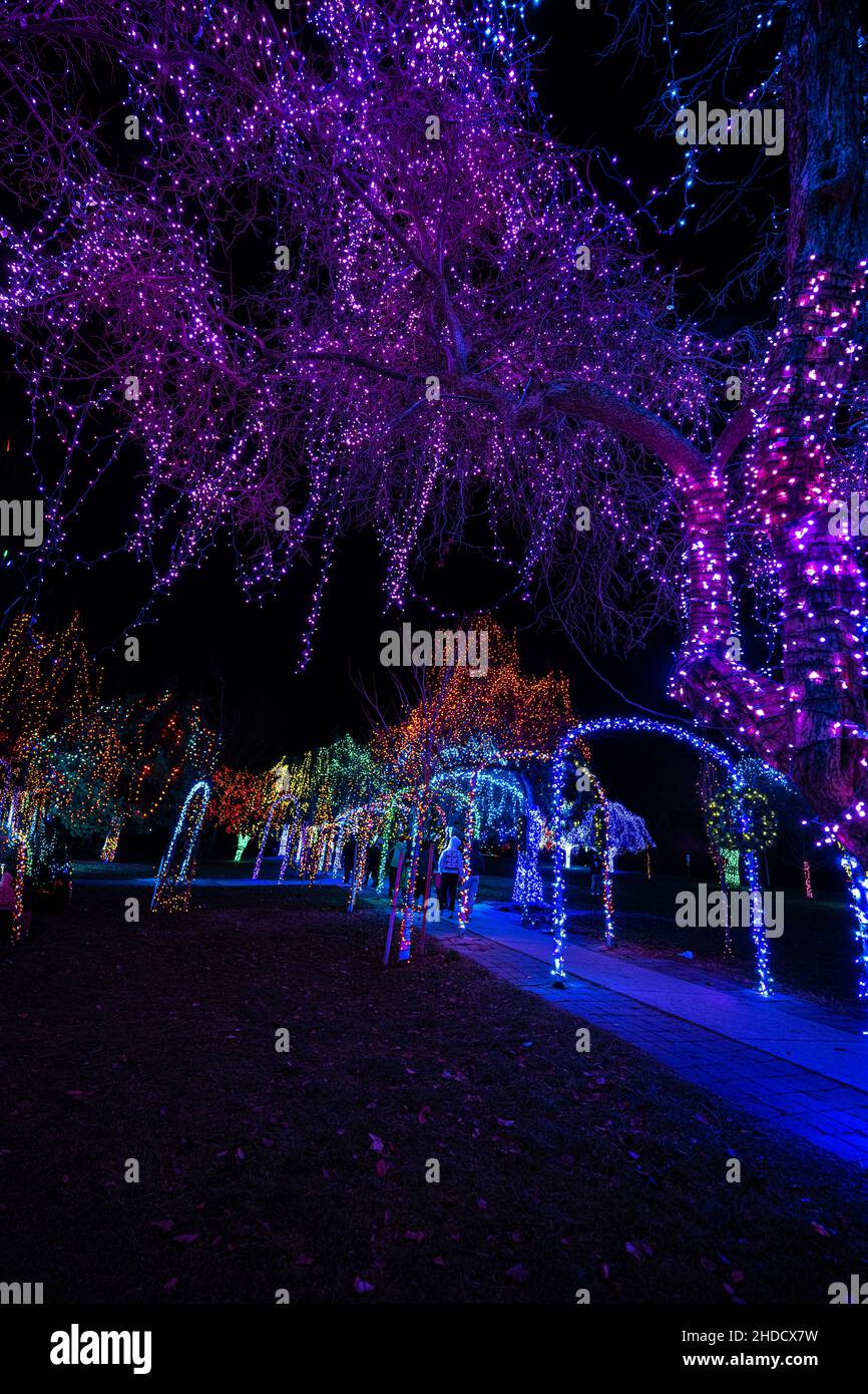 Colorful Christmas Illumination in December Stock Photo