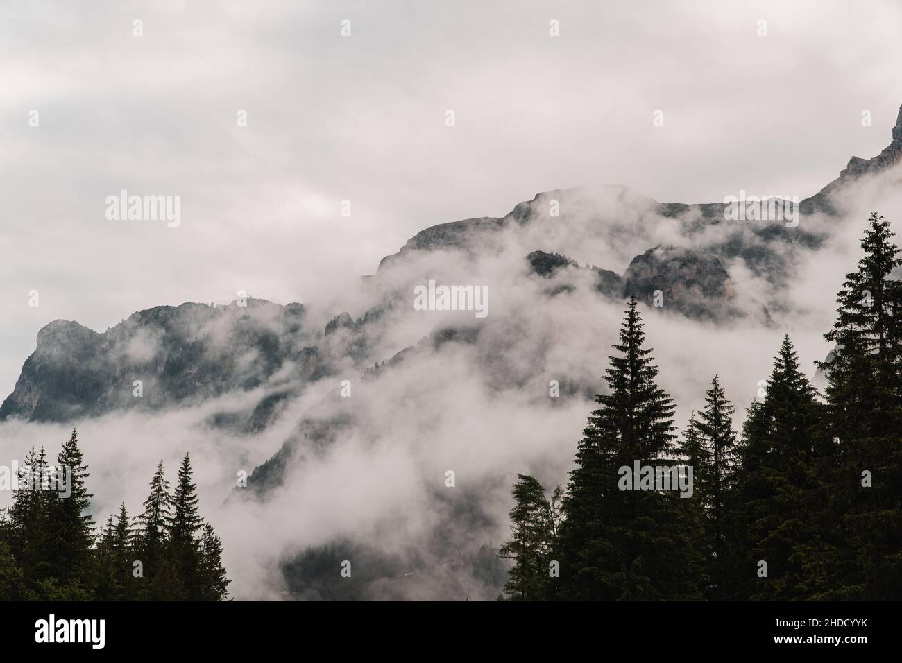 Misty landscape with fir forest, lake and mountain in hipster vintage retro style. Dolomity italy Stock Photo