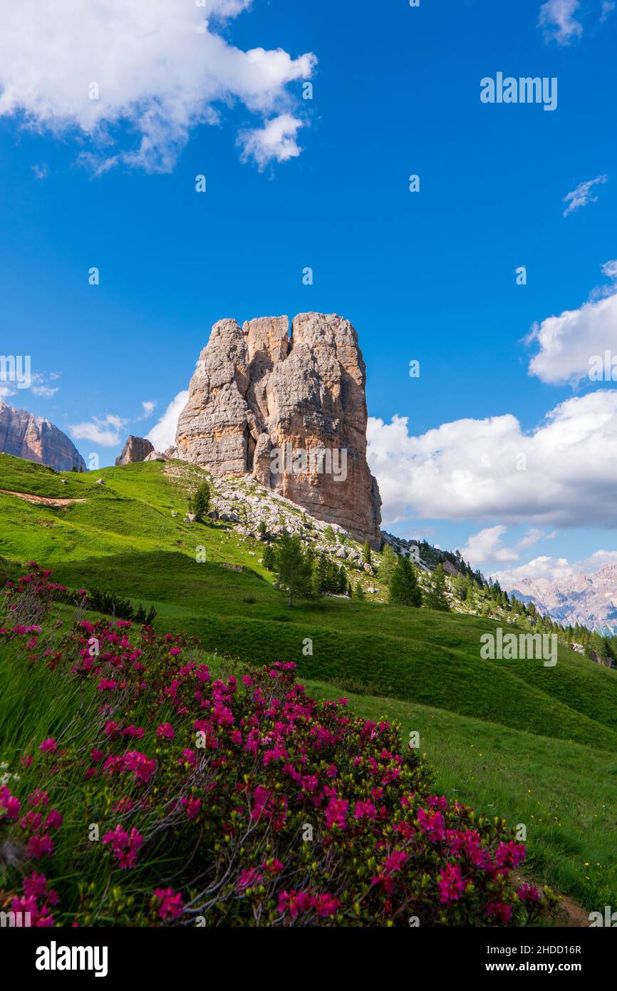 Beautiful alpine countryside. Awesome Alpine landscape with traditional ...