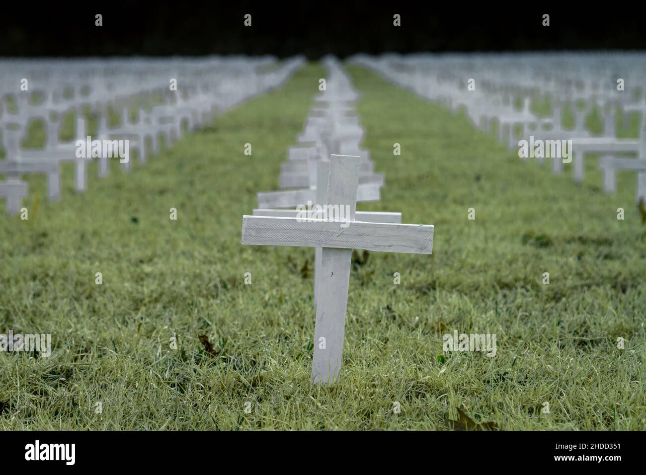 Closeup shot of a row of white crosses on a field Stock Photo