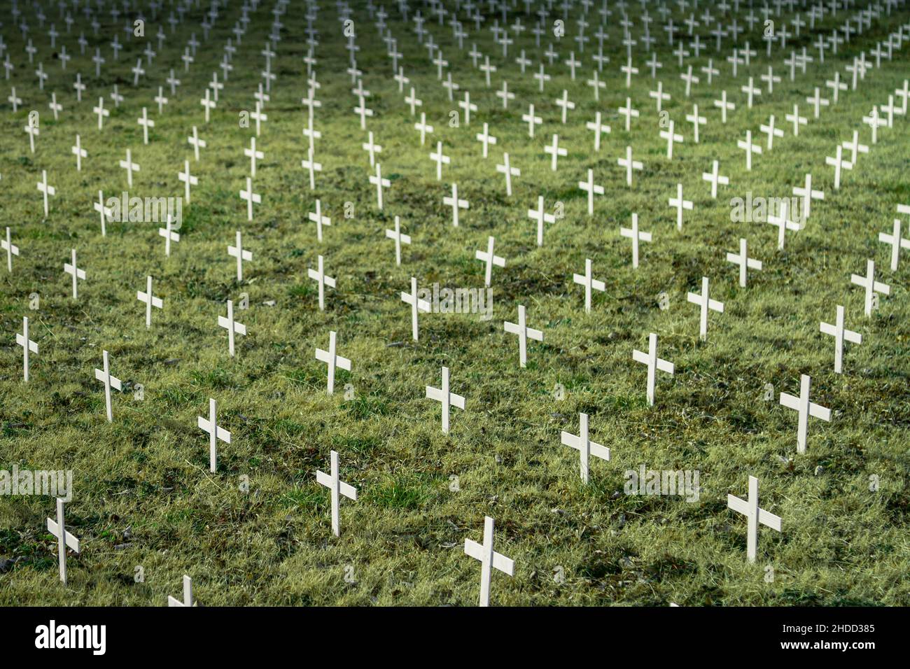 High angle shot of rows of white crosses on a field Stock Photo