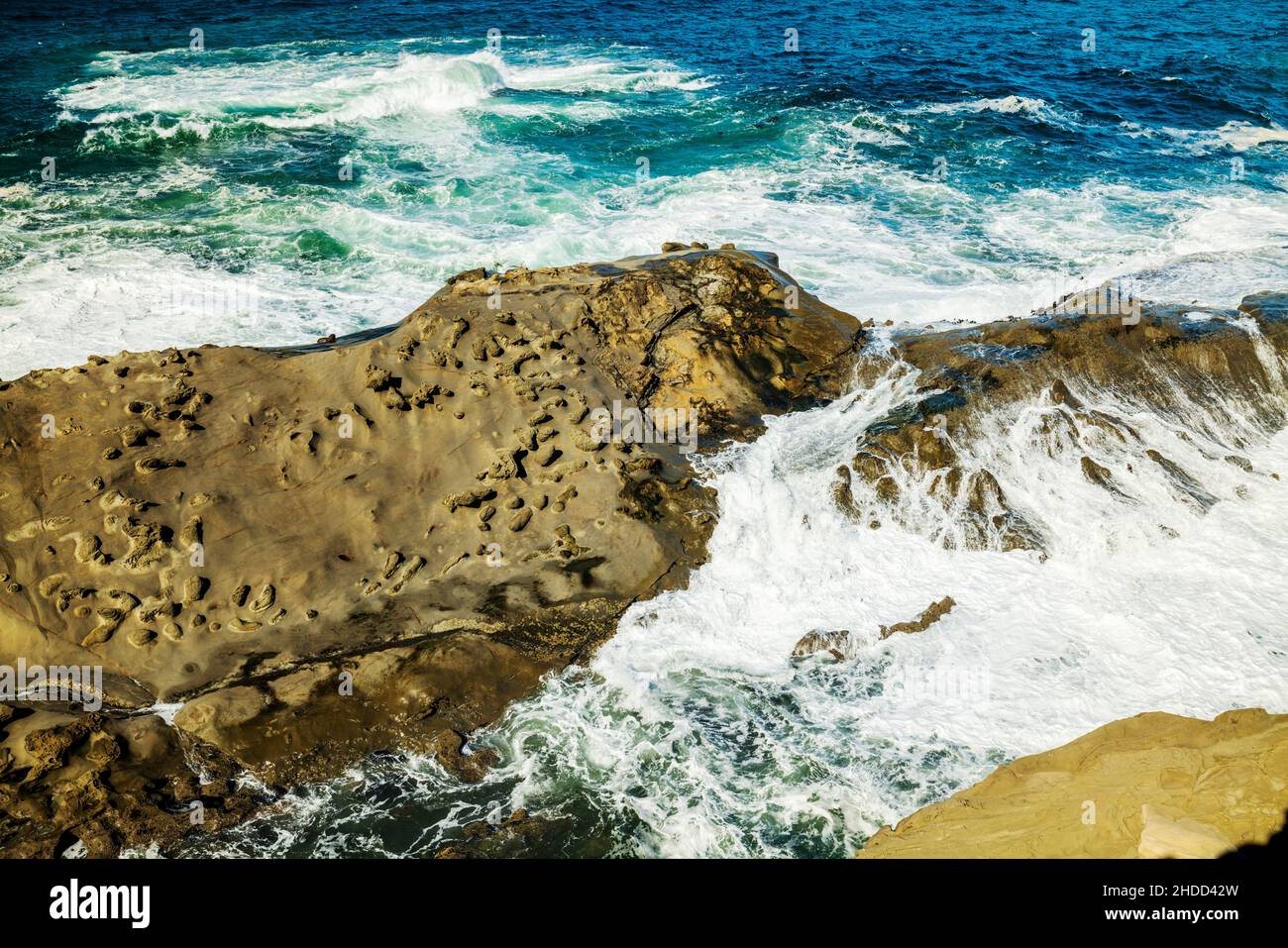 Pacific Ocean; Shore Acres State Park; near Coos Bay; Oregon coast; USA Stock Photo