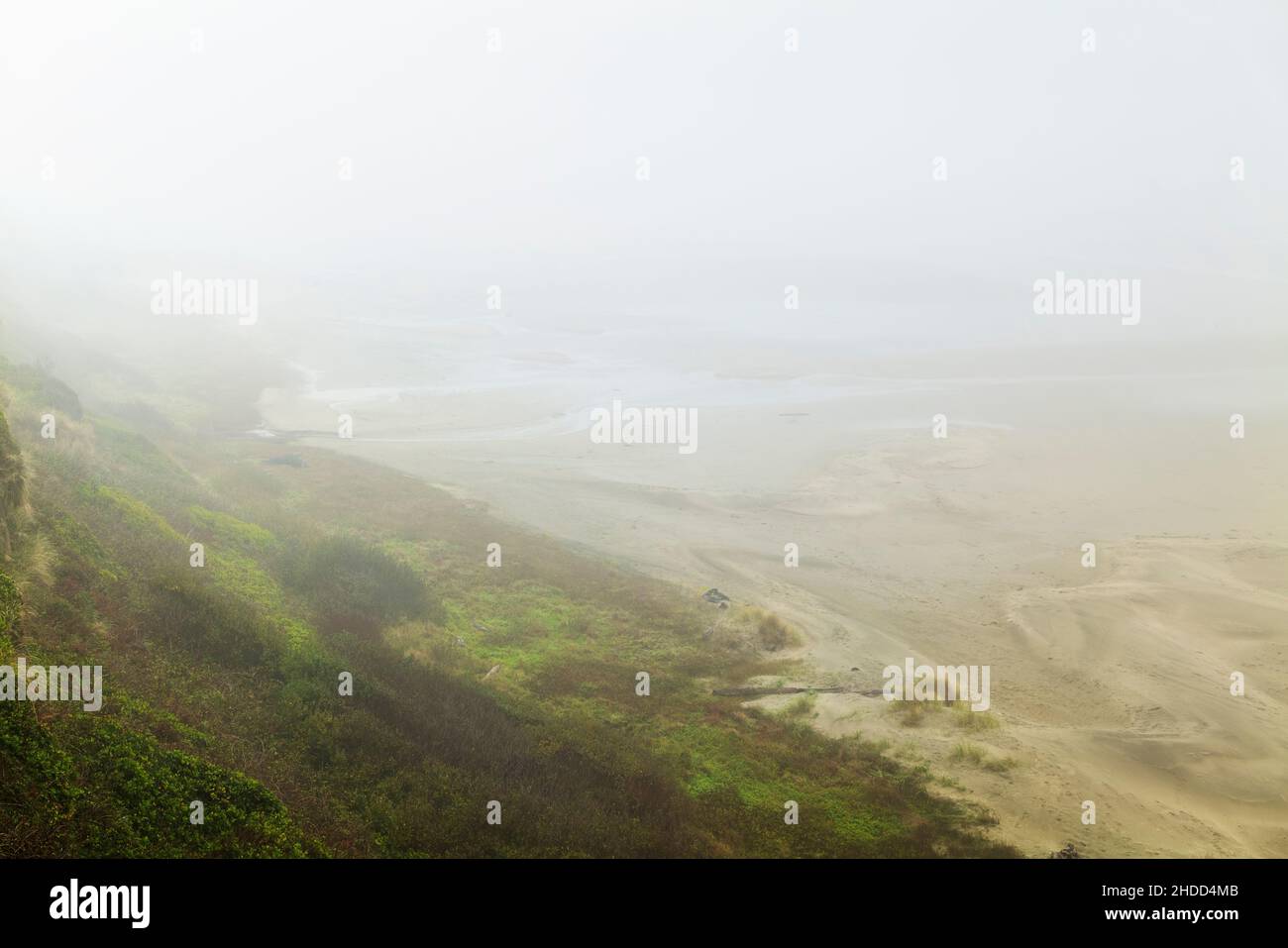 Foggy view of beach & Pacific Ocean; Newport; Oregon; USA Stock Photo