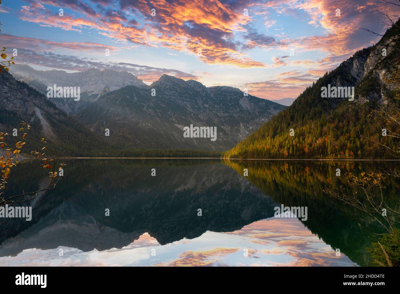 mirror-smooth lake plansee in the tyrolean mountains in autumn with ...