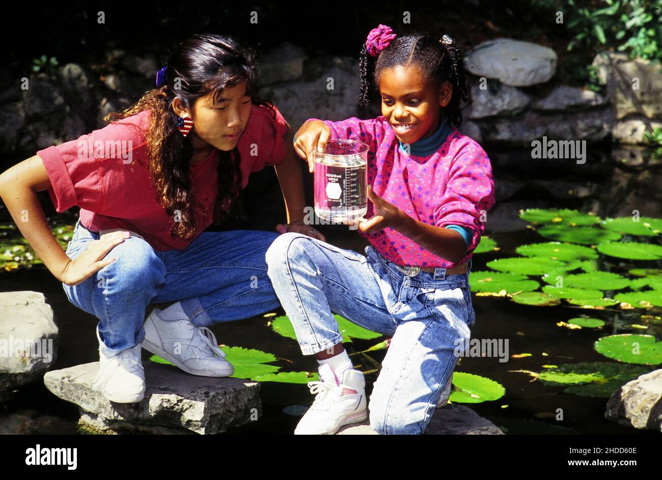 Austin Texas USA, 1991: 7th grade classmates explore a pond at Zilker Park as part of science experiments. MR EV-82-07  ©Bob Daemmrich Stock Photo