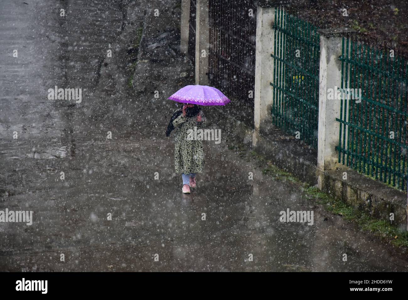 A girl shelters underneath an umbrella during a snowfall in Srinagar. Kashmir has recorded widespread light to moderate rain and snow,  leading to cancellation flights to and from Srinagar ‘international’ airport while several far-flung areas remained cut off on Wednesday. The Meteorological department said that they are expecting a 'heavy snowfall' on the 7th-8th of this month. Stock Photo