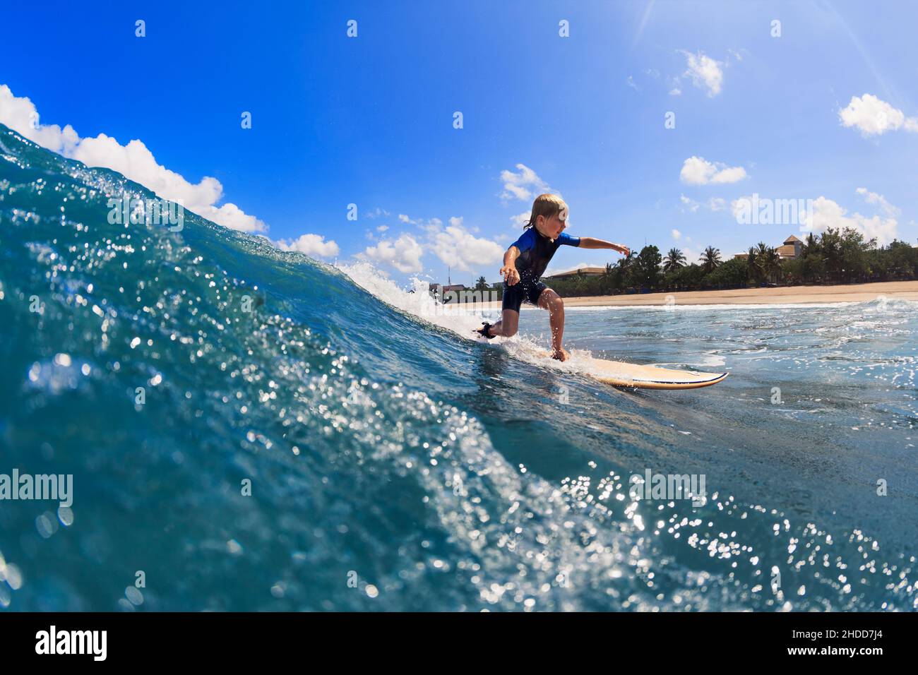 Roxy Sticker Surf Surfing Surfer Girl Hawaii Tropical Beach Waves Surfboard 