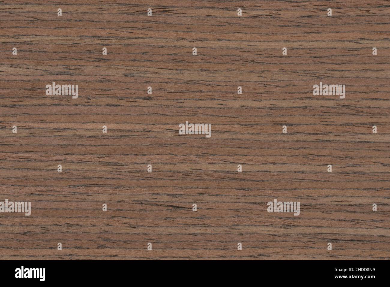 Walnut wood panel texture pattern Stock Photo Alamy