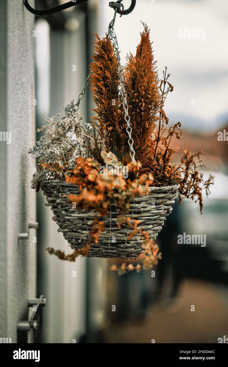 Vertical shot of a hanging basket with autumn decorations near a house Stock Photo