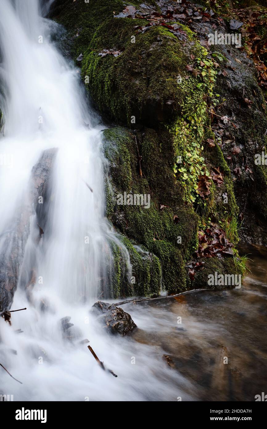 Vertical shot of a waterfall falling from the rocks in the forest Stock ...