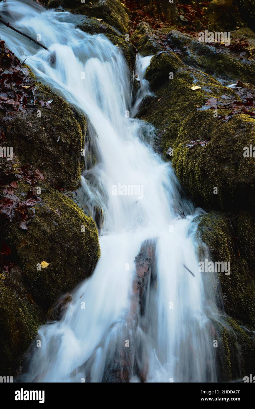 Vertical shot of a waterfall falling from the rocks in the forest Stock ...