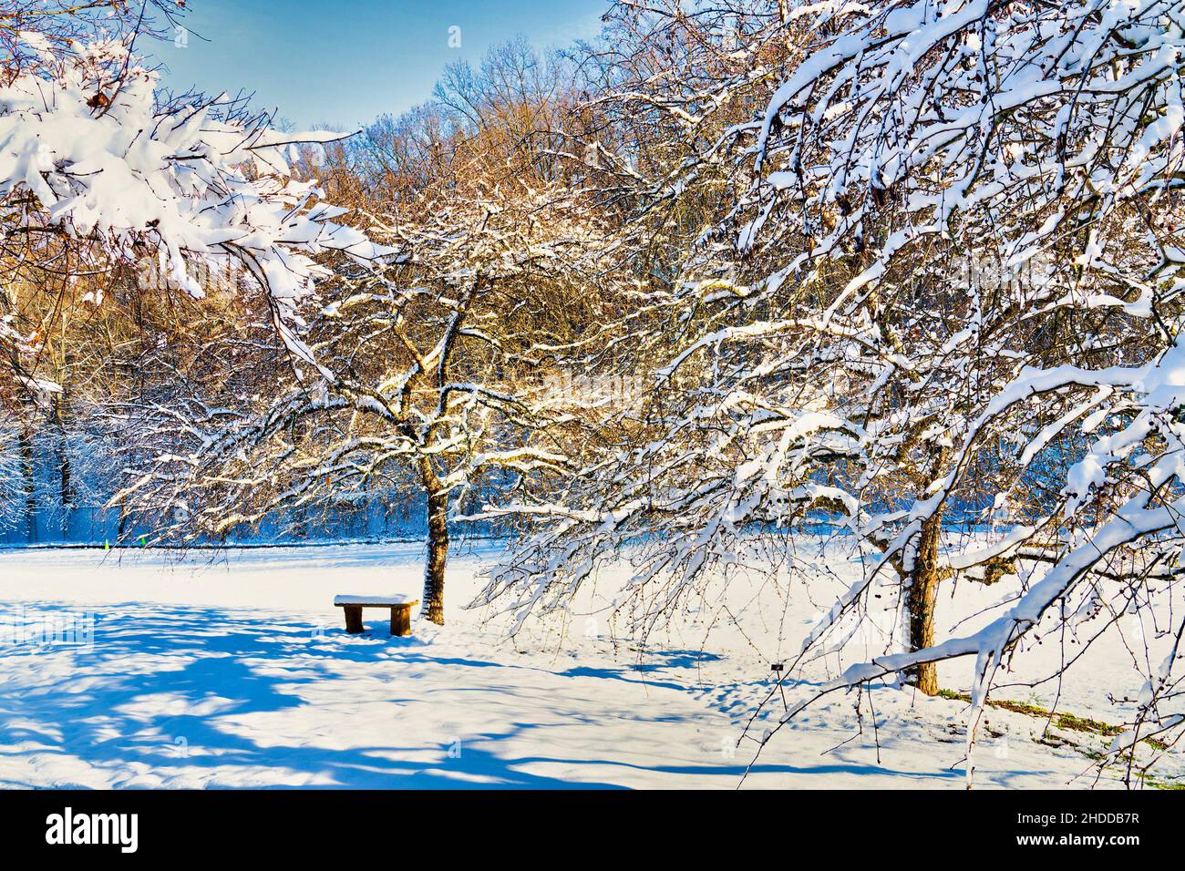Lonely park bench hi-res stock photography and images - Alamy