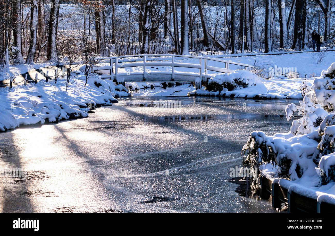 A snow covered wooden bridge over a frozen pond Stock Photo