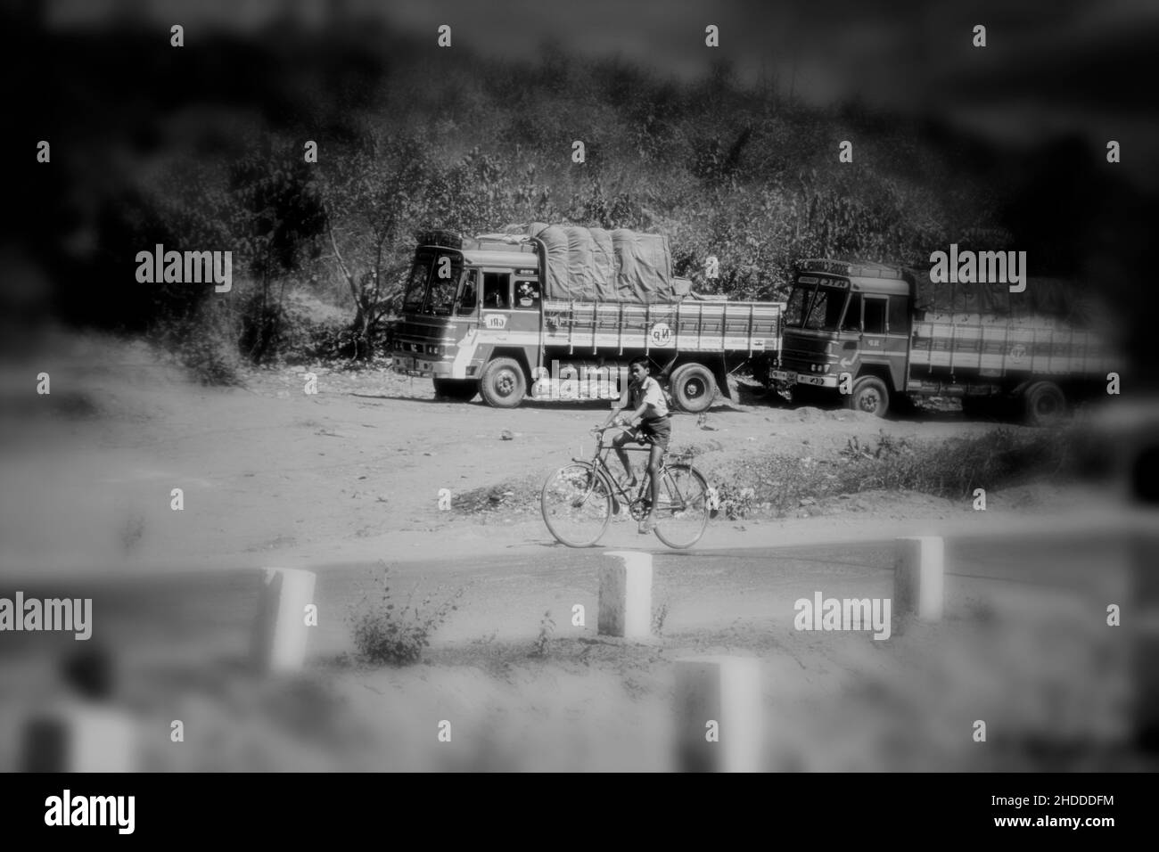 Beauty of rural Goa. High resolution intimate recollection of idyllic ...