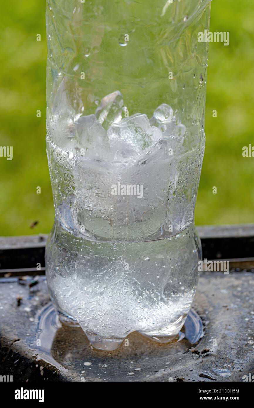 https://c8.alamy.com/comp/2HDDH5M/thawing-frozen-water-bottle-with-selective-focus-2HDDH5M.jpg
