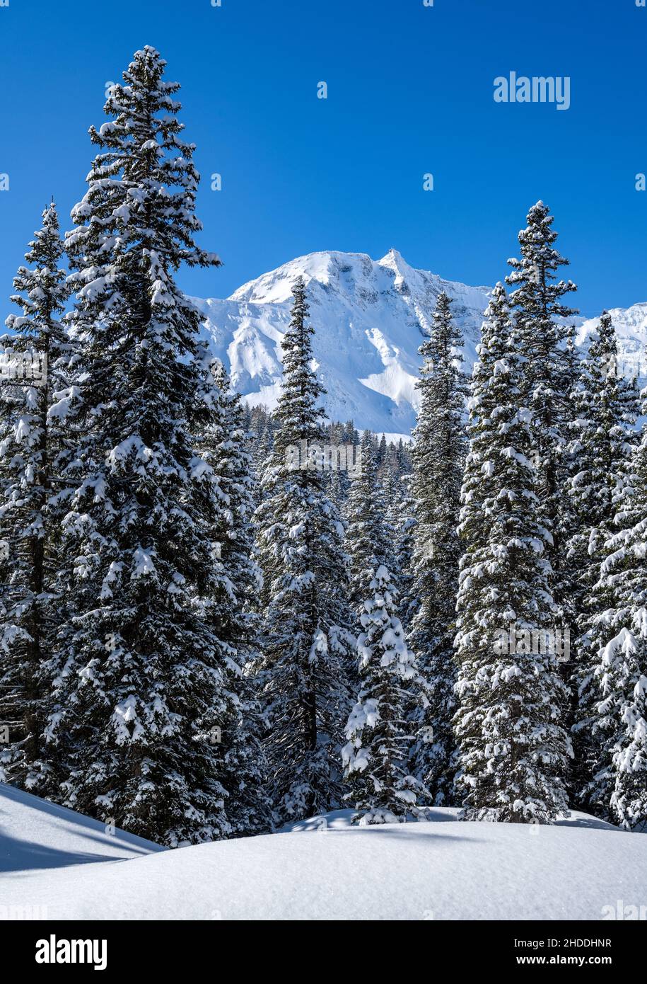 Idyllic winter landscape in Austria, Rauris, Pinzgau, Salzburger Land Stock Photo