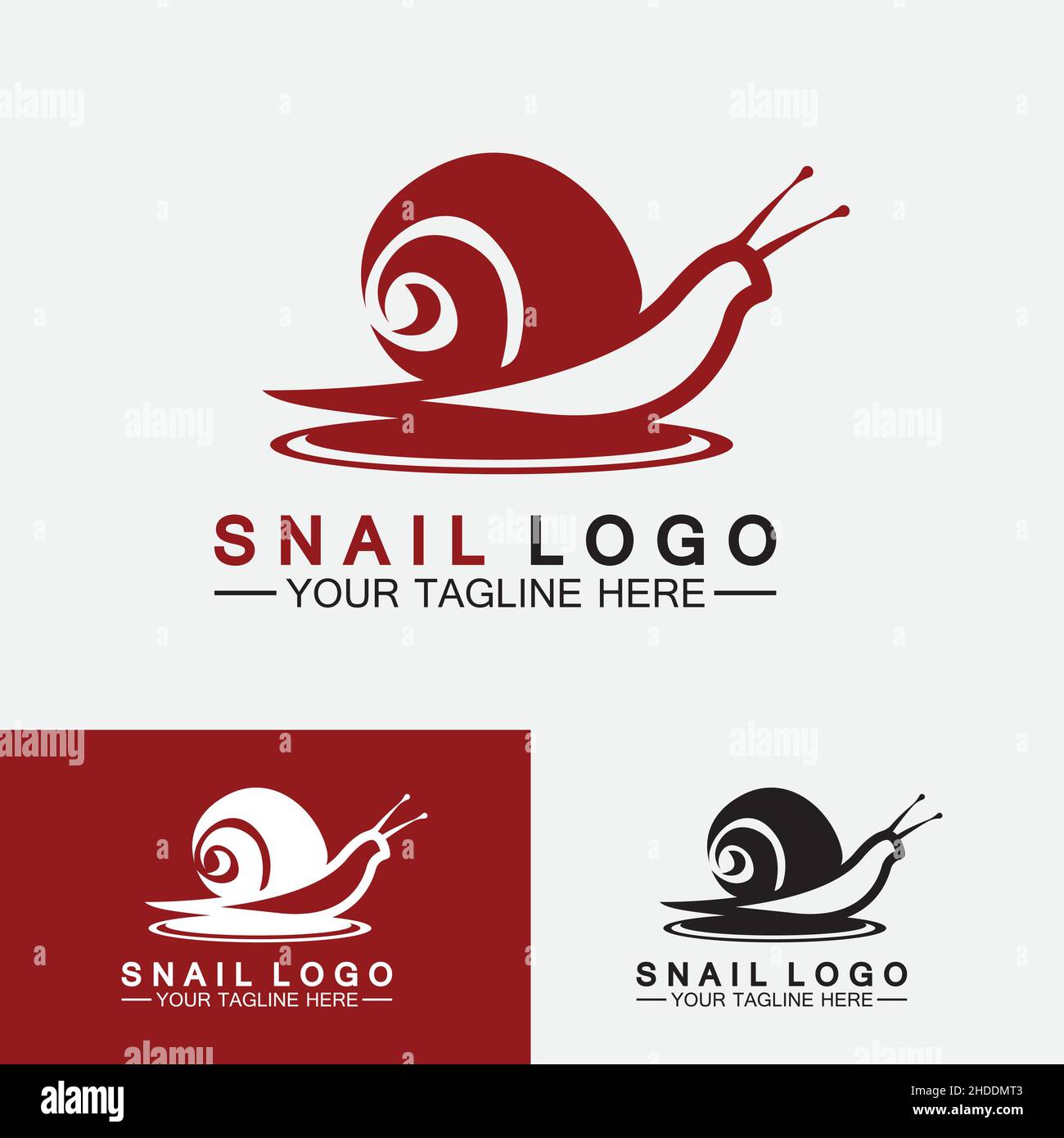 Snail logo template vector icon illustration design Stock Vector Image ...
