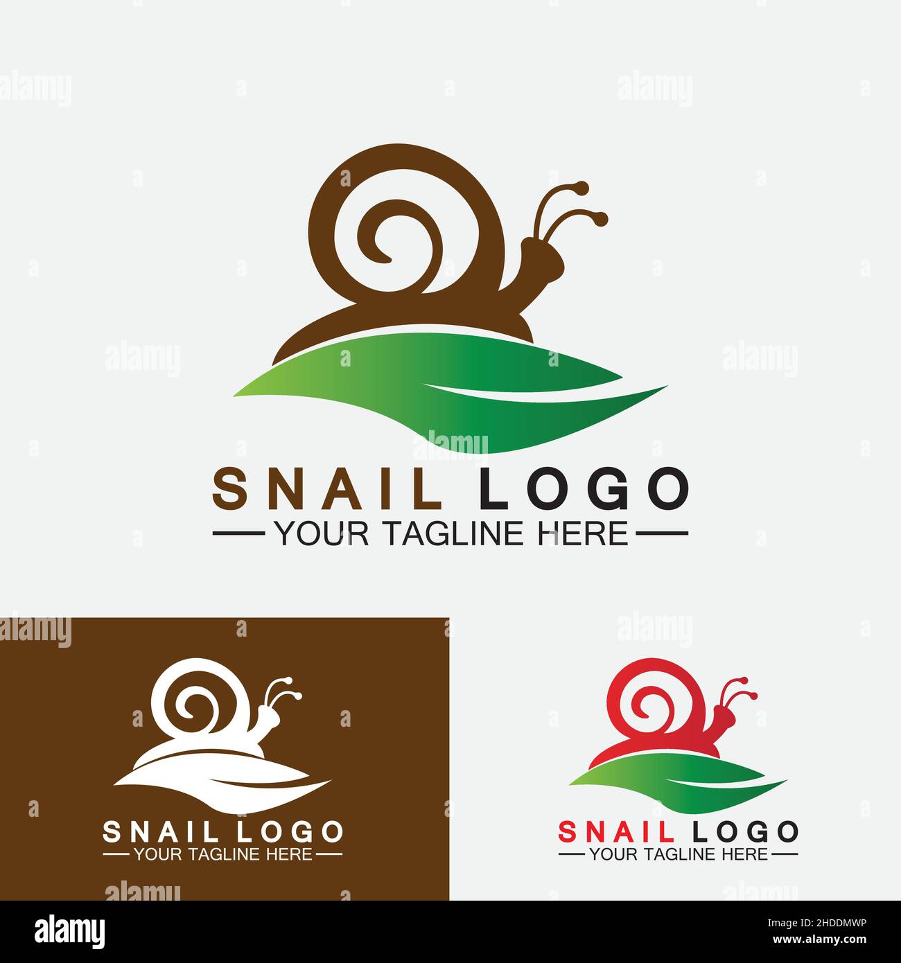 Snail logo template vector icon illustration design Stock Vector