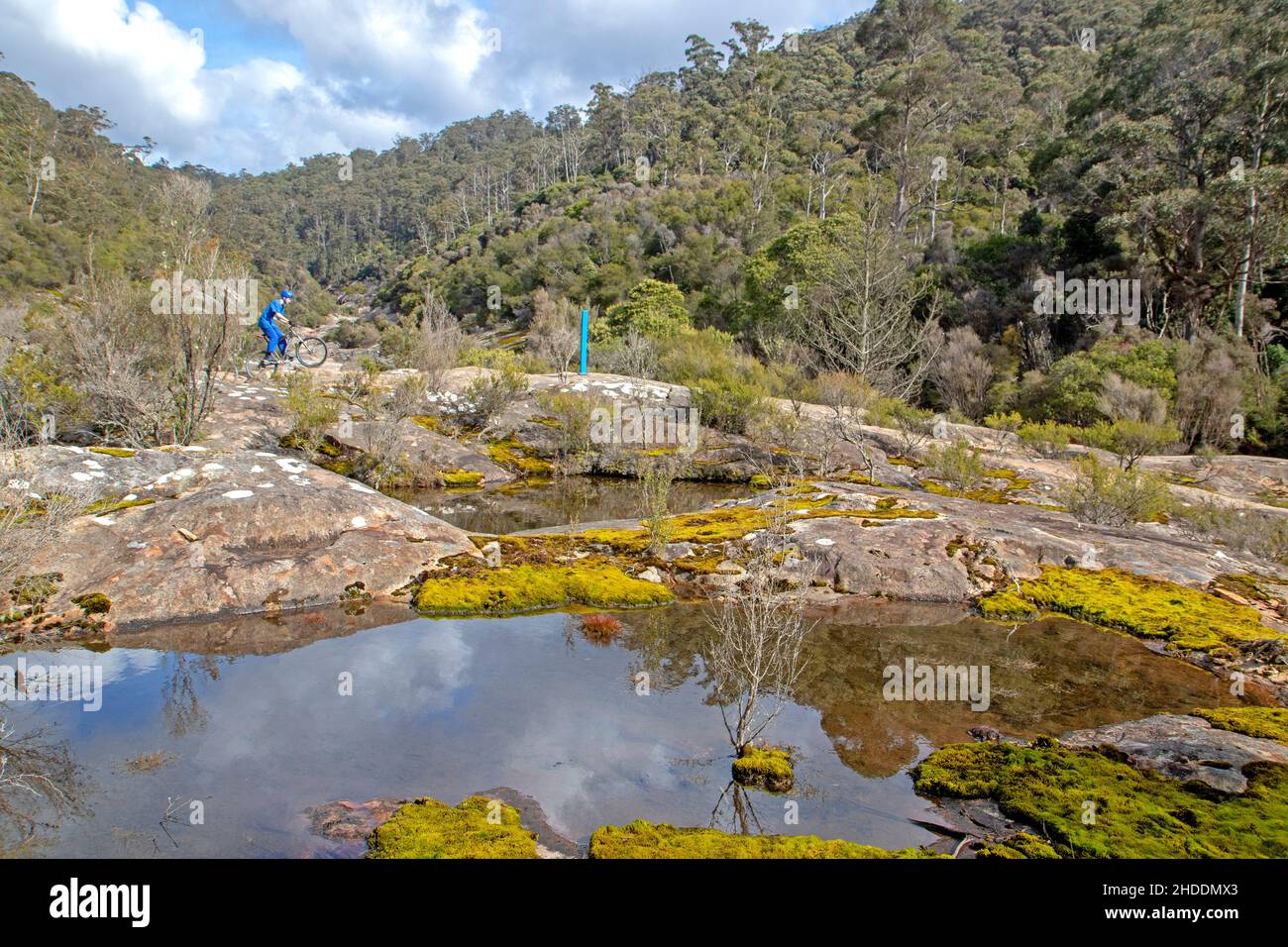 Mountain biking at Blue Derby Stock Photo