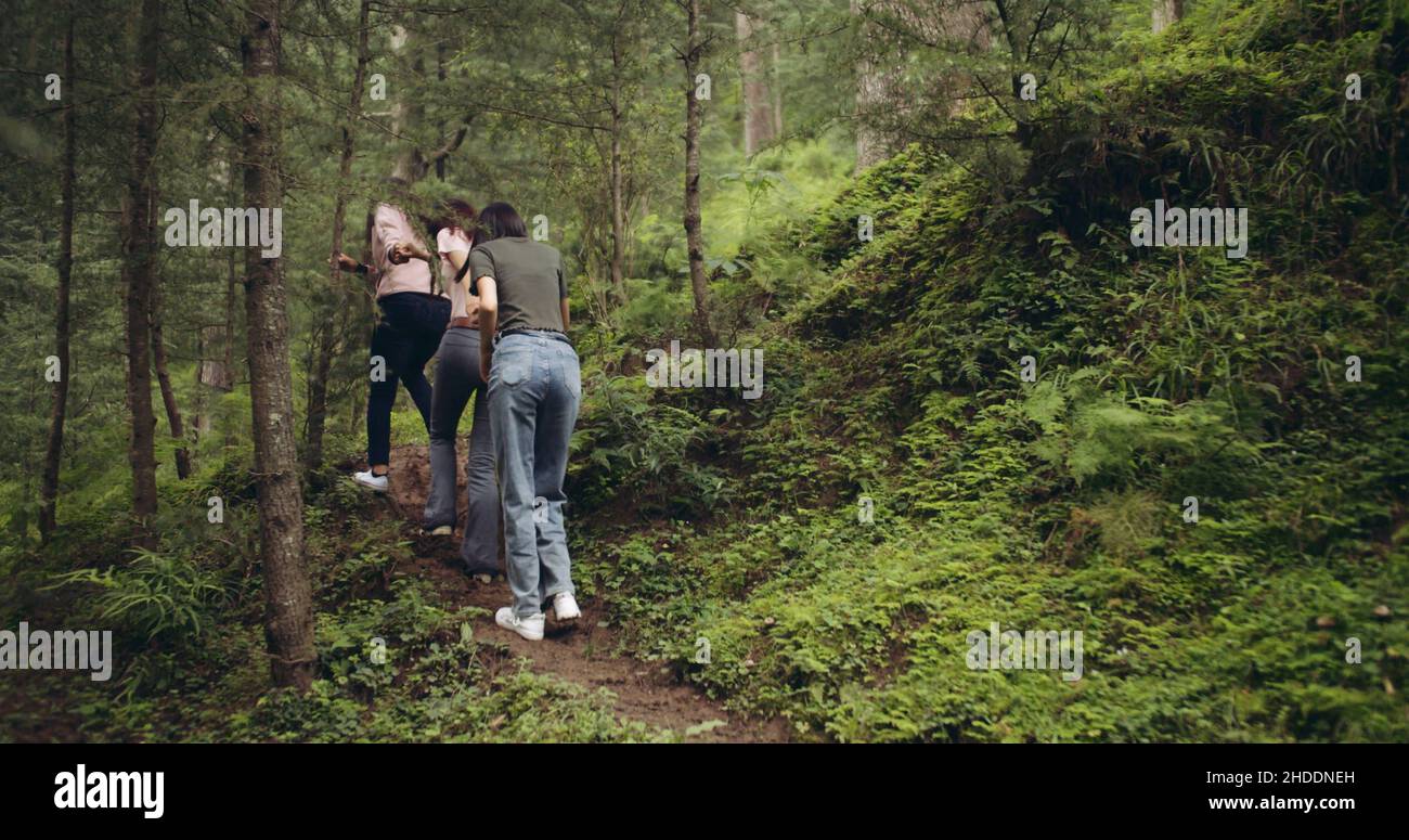 Group of three female friends walking around in a park Stock Photo - Alamy