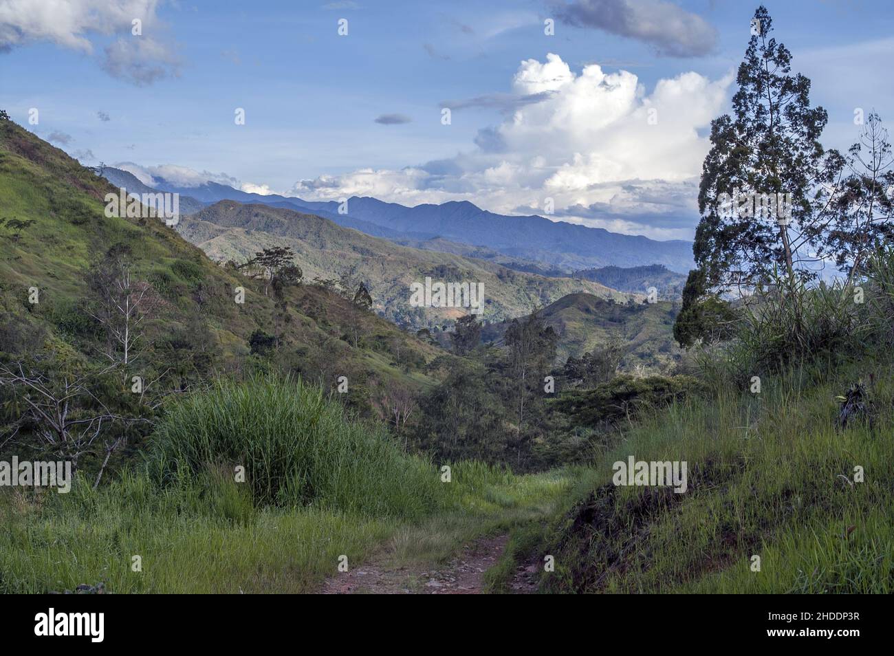 Papua New Guinea; Eastern Highlands; Goroka; Namta (Mefenga); Typical mountain landscape in central Papua; Typische Berglandschaft in Zentral-Papua Stock Photo