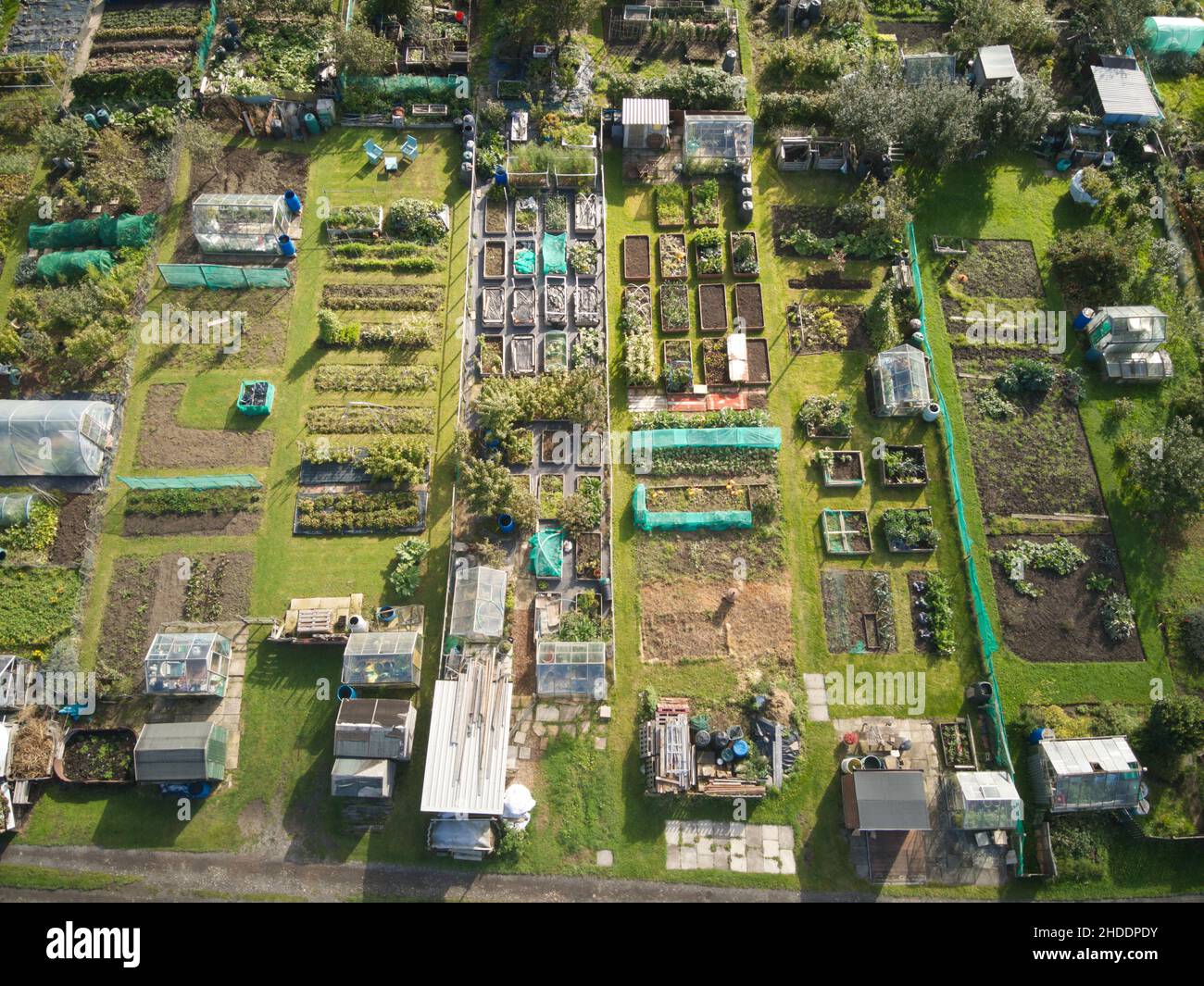 UK allotment gardens from above Stock Photo Alamy