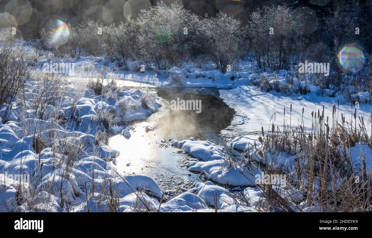 Morning mist rising from a wetland in northern Wisconsin. Stock Photo