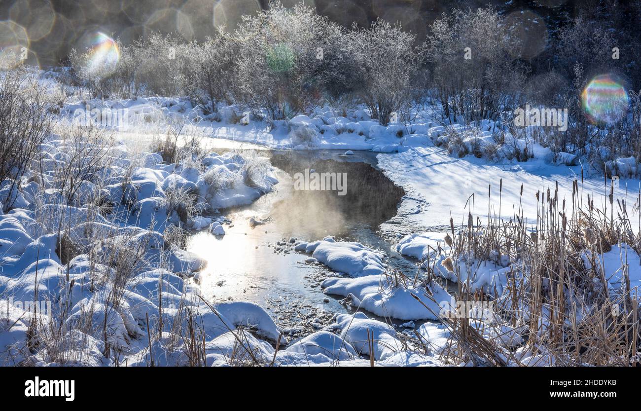 Morning Rising Mist Morning mist rising from a wetland in northern Wisconsin Stock Photo ...