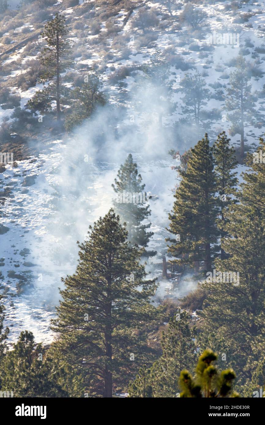 Smoke rising from a controlled burn in the snow covered forest of the Sierra Nevada mountains during winter Stock Photo