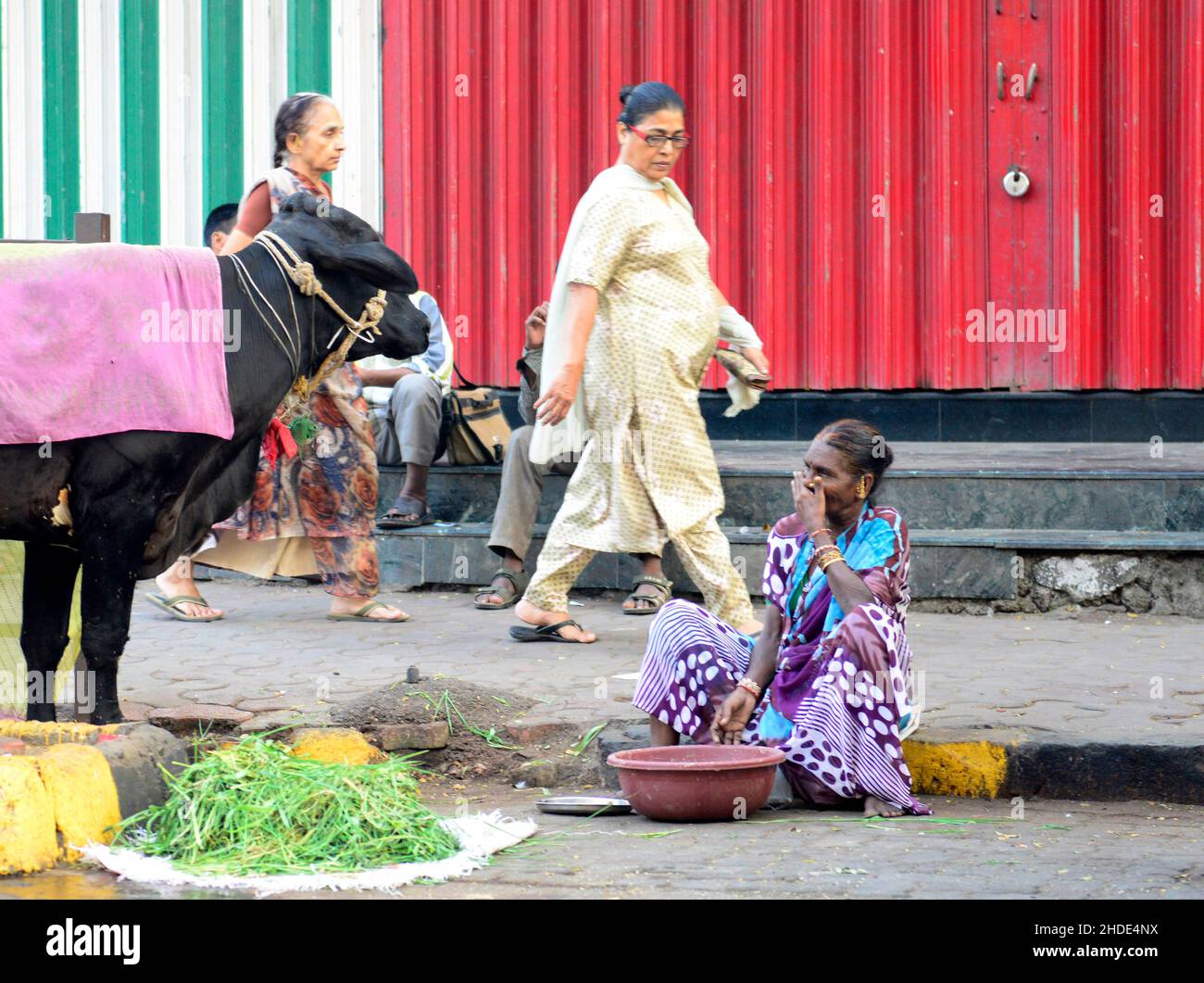 A local Marathi woman with her cow in the streets of Mumbai, India. Stock Photo