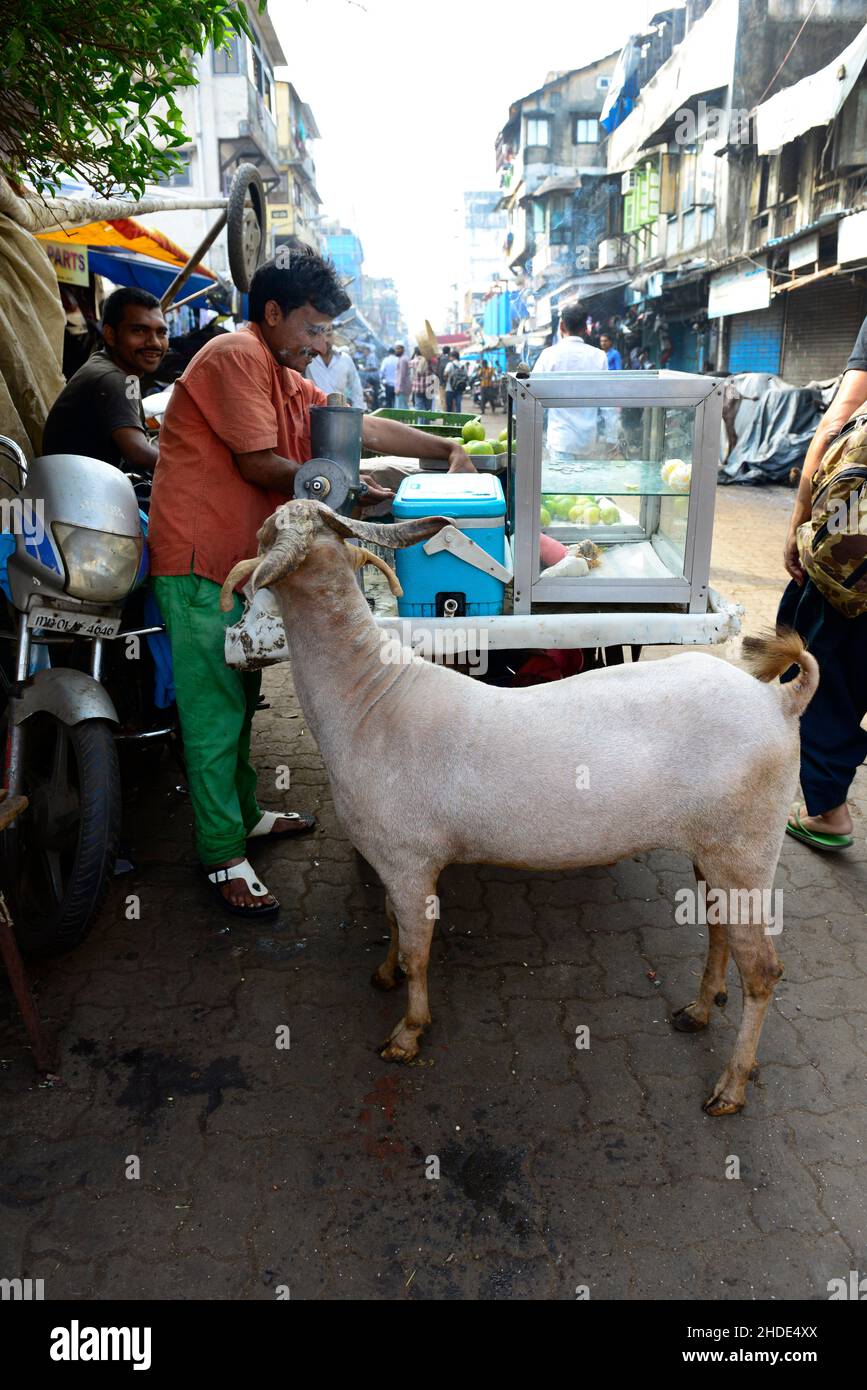 A snack vendor in Mumbai, India Stock Photo - Alamy