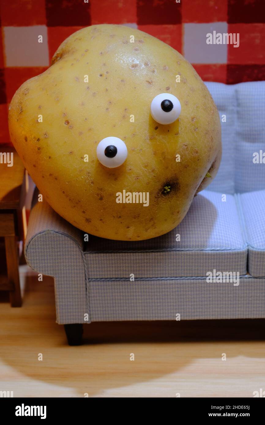 Lazy couch potato living room sofa concept Stock Photo Alamy