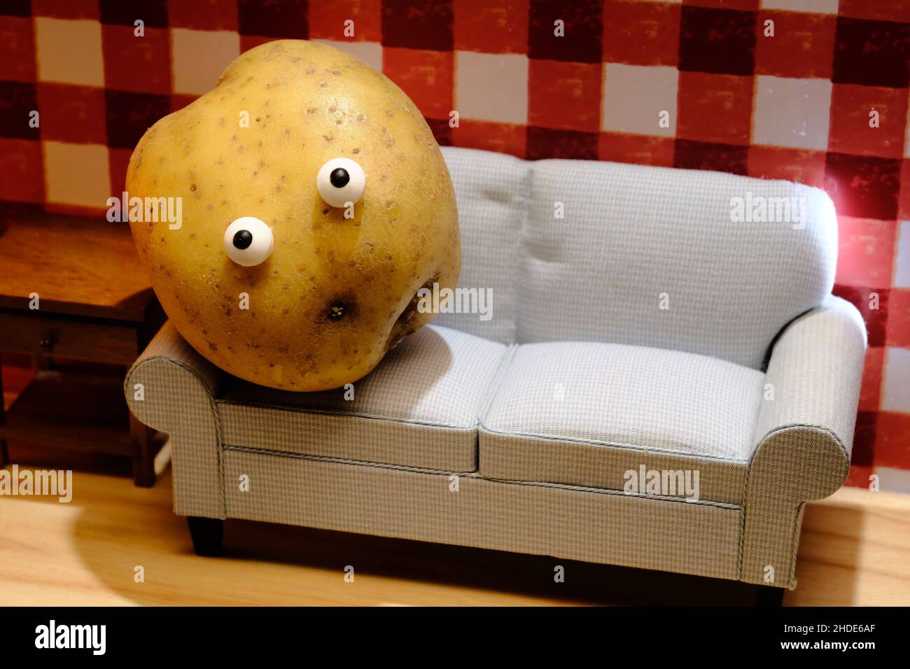 Lazy couch potato living room sofa concept Stock Photo Alamy