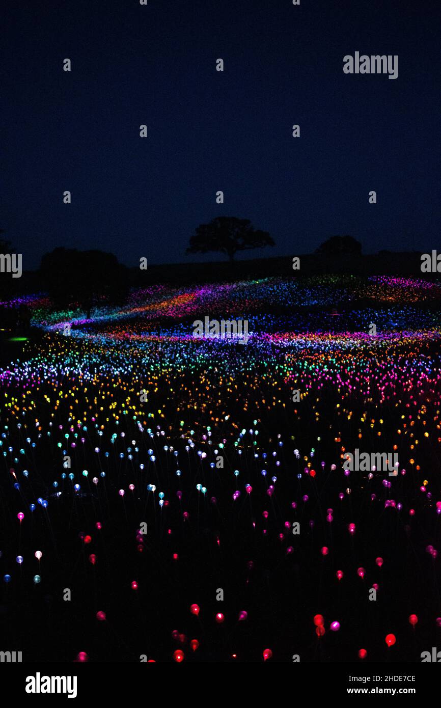 The Field of Lights event in Paso Robles Stock Photo Alamy