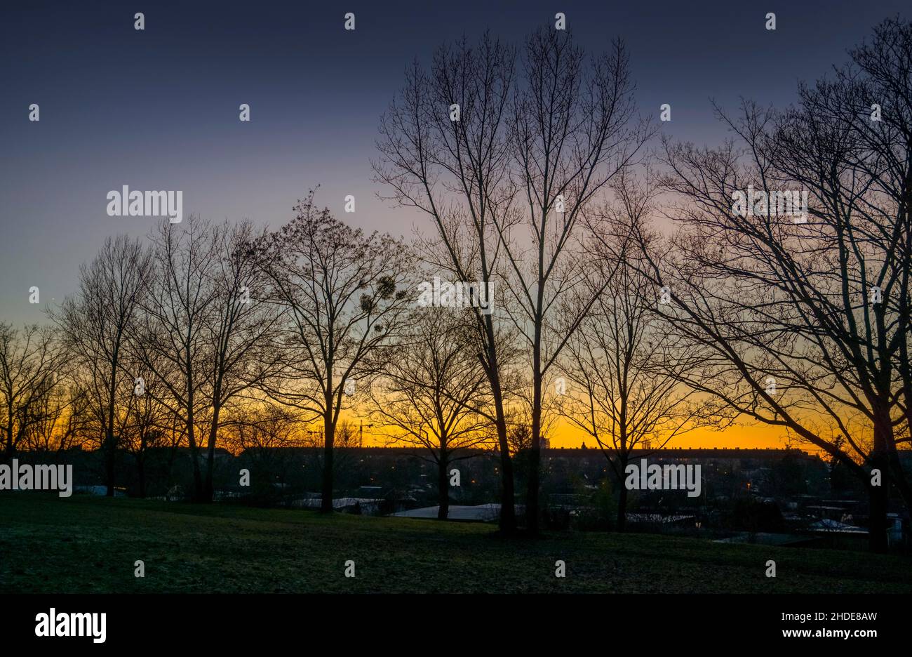 Abend, Sonnenuntergang, Bäume, Silhouette, Natur, Berlin, Deutschland Stock Photo