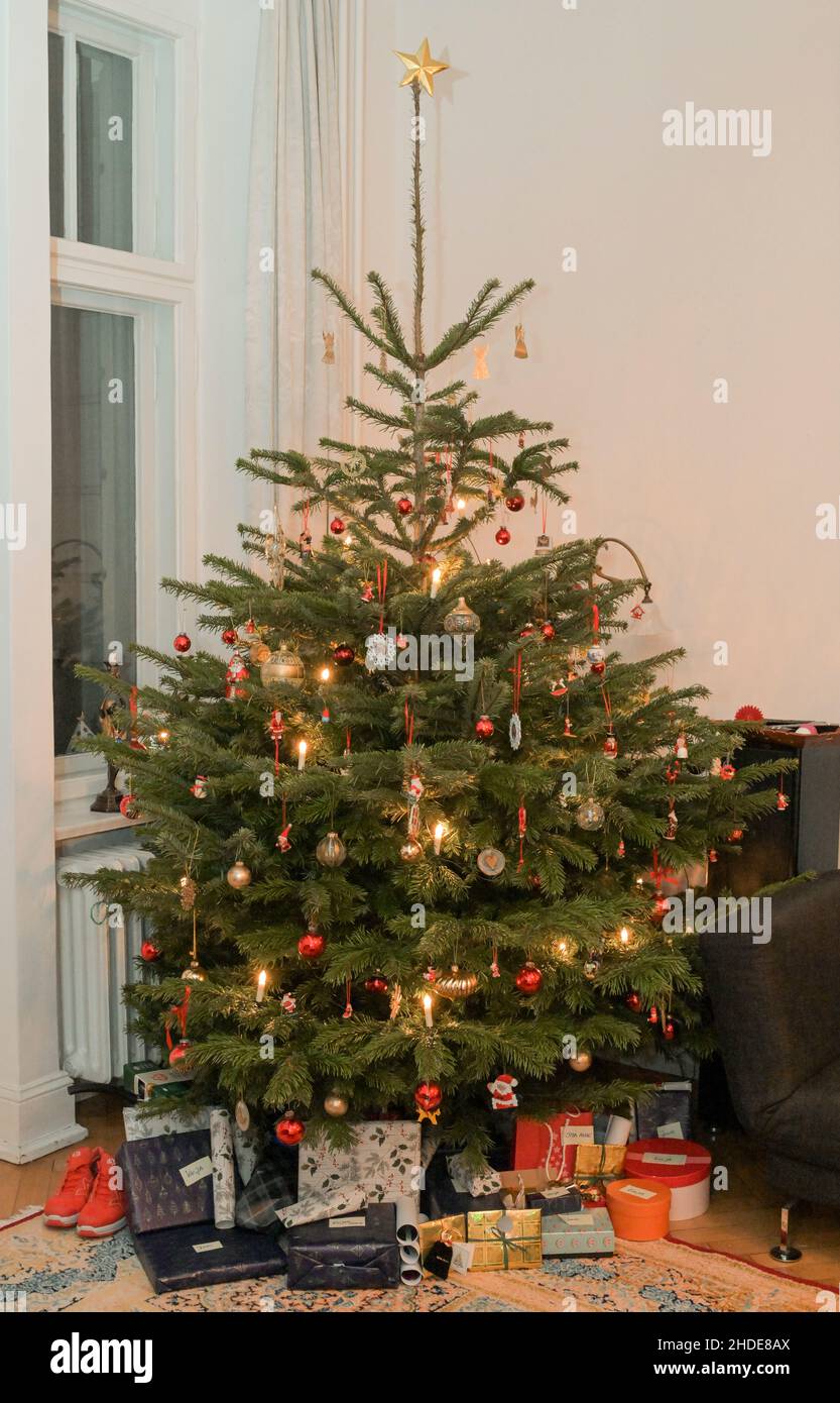 Weihnachtsbaum, Wohnzimmer, Deutschland Stock Photo
