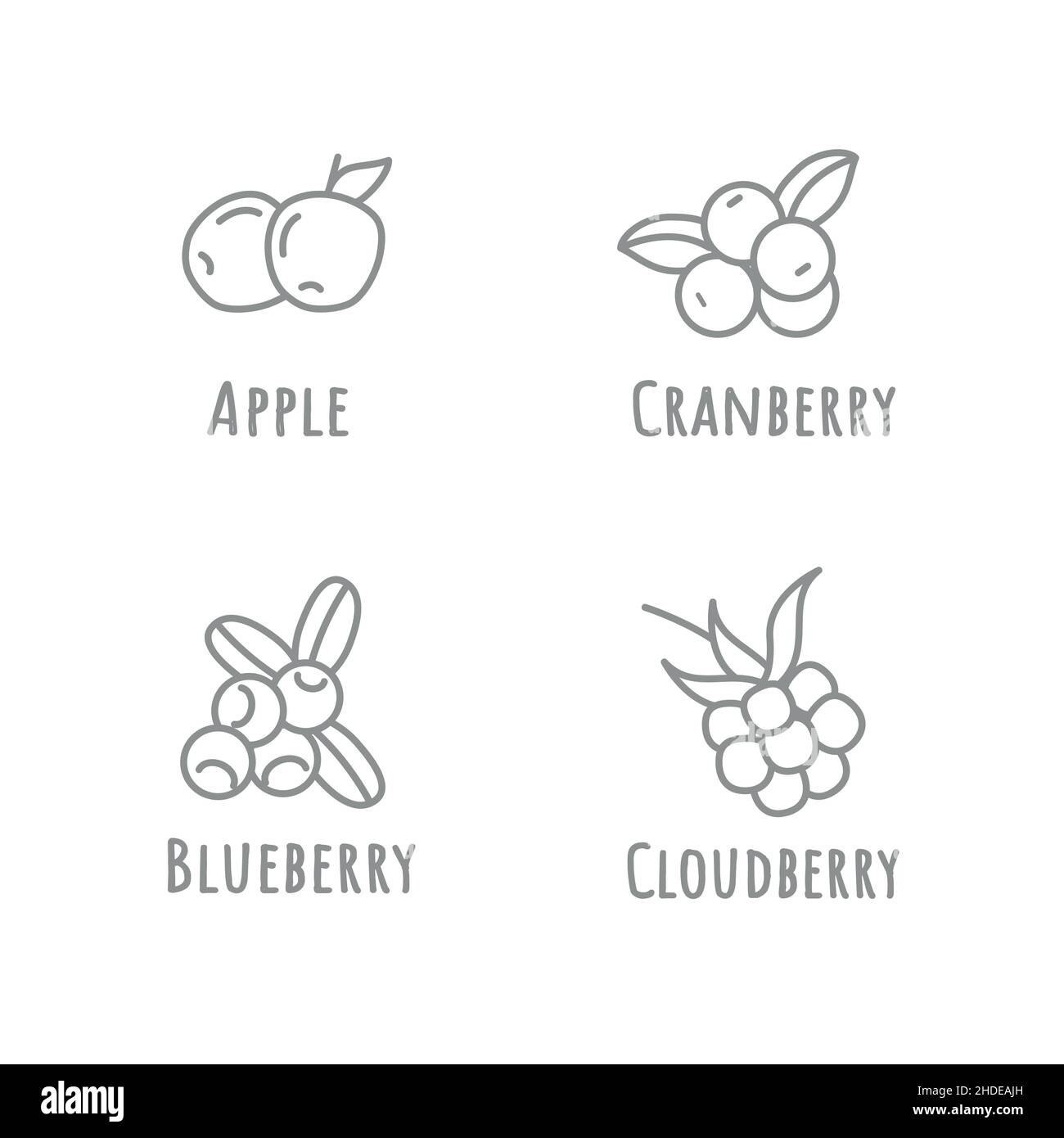 Fruit Icon Set, Vector lines, Stock Vector illustration isolated on white background. Stock Vector