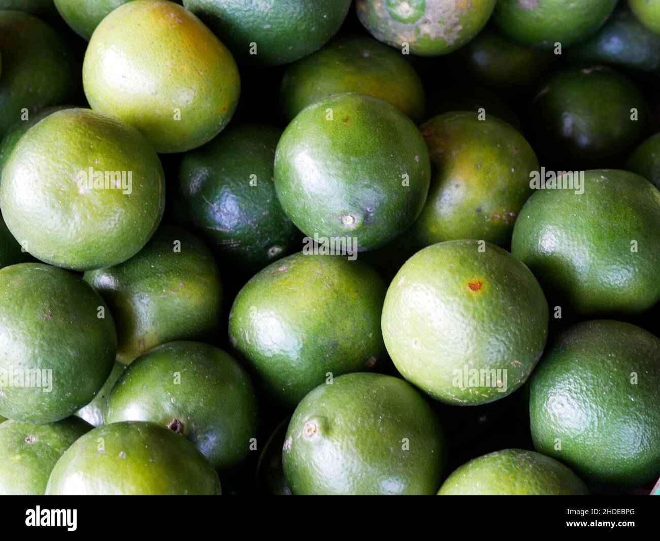 Fresh green lime pile on display for sale in the local Indonesian ...