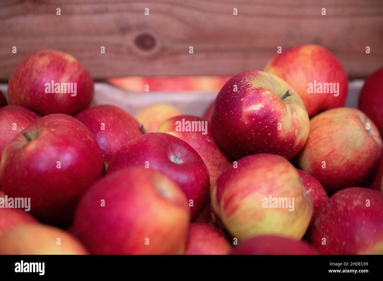 Wellants hires stock photography and images Alamy