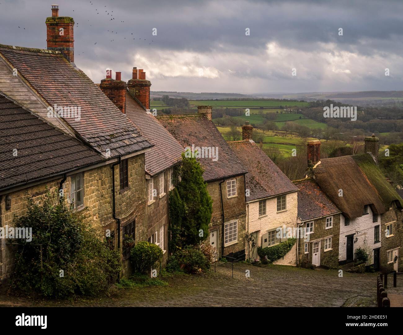 Famous View Of The Cobbled Street And Cottages Of Gold Hill Shaftesbury