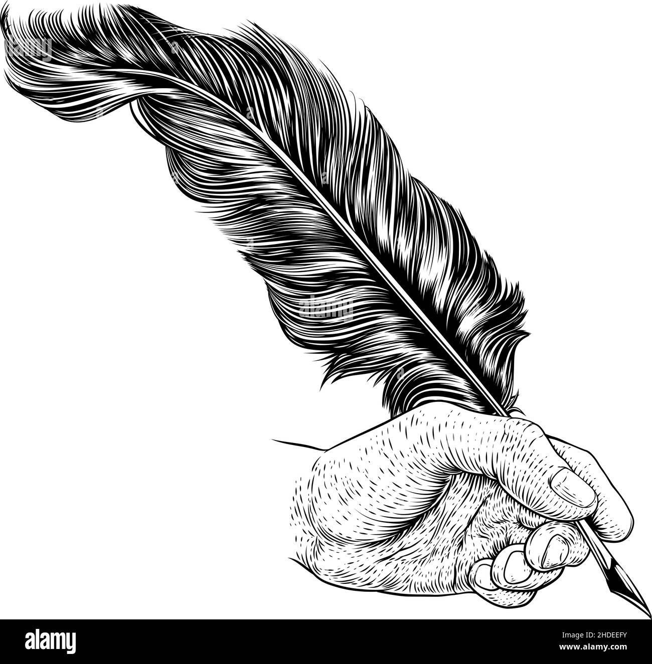 Quill Feather Ink Pen Hand Vintage Woodcut Print Stock Vector Image ...