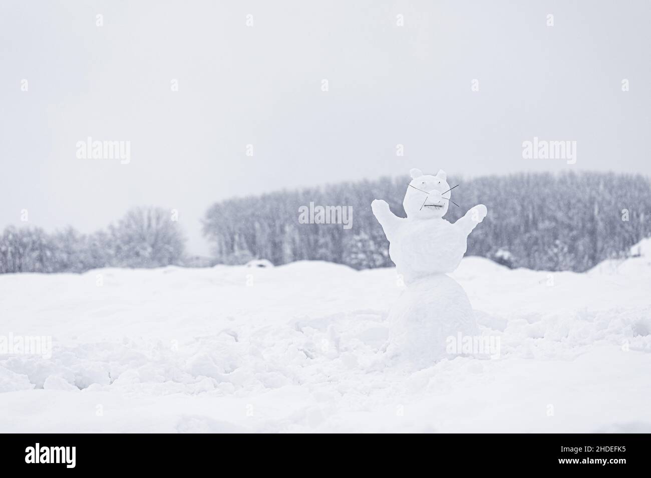 The figure of funny snowman animal in snowy field Stock Photo