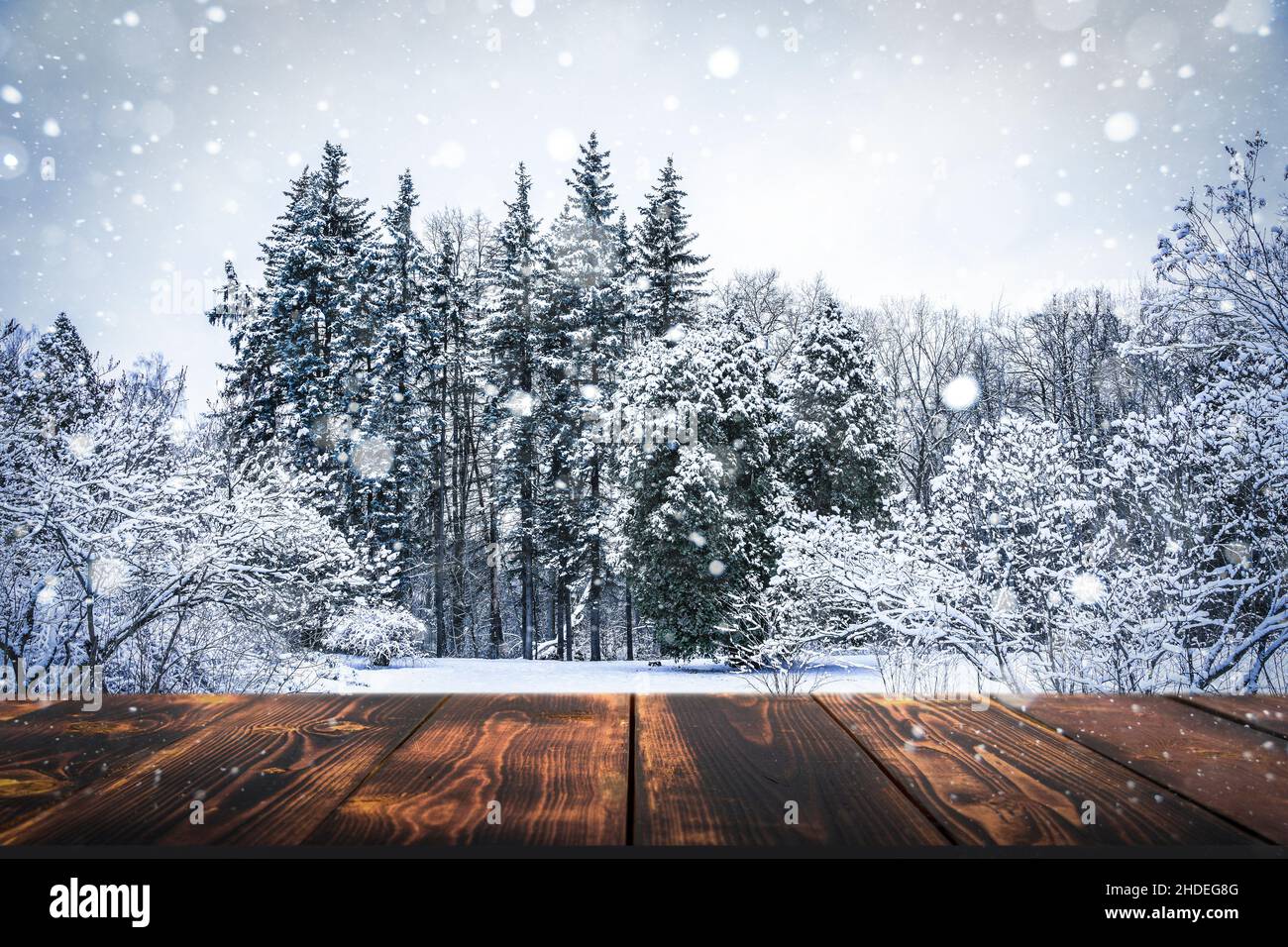 Winter forest with wooden table background. Blurred snow landscape and  empty rustic table for product or merchandise. High quality photo Stock  Photo - Alamy, image size:1300x956