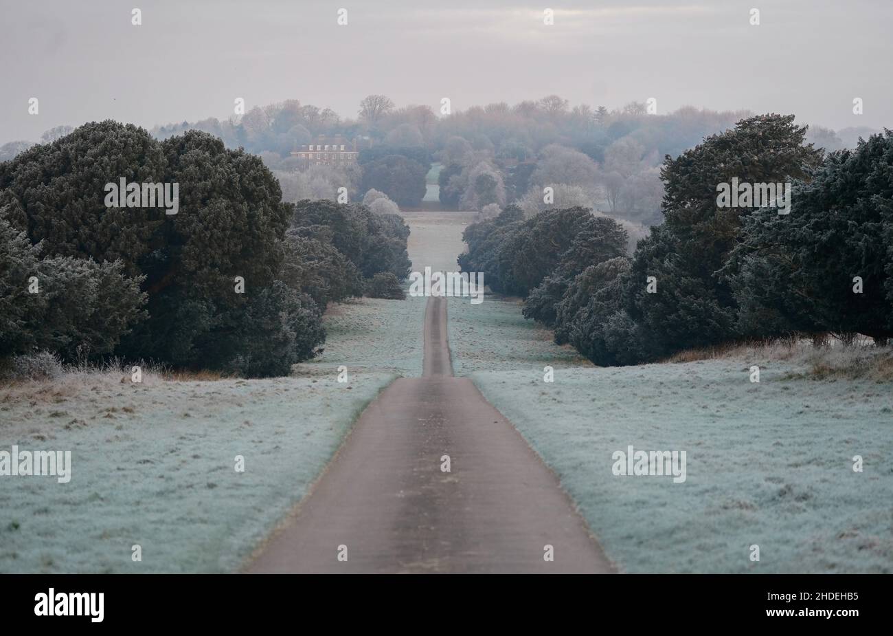 A light frost covers the trees and ground near to Preston Candover in Hampshire. Picture date: Thursday January 6, 2022. Stock Photo