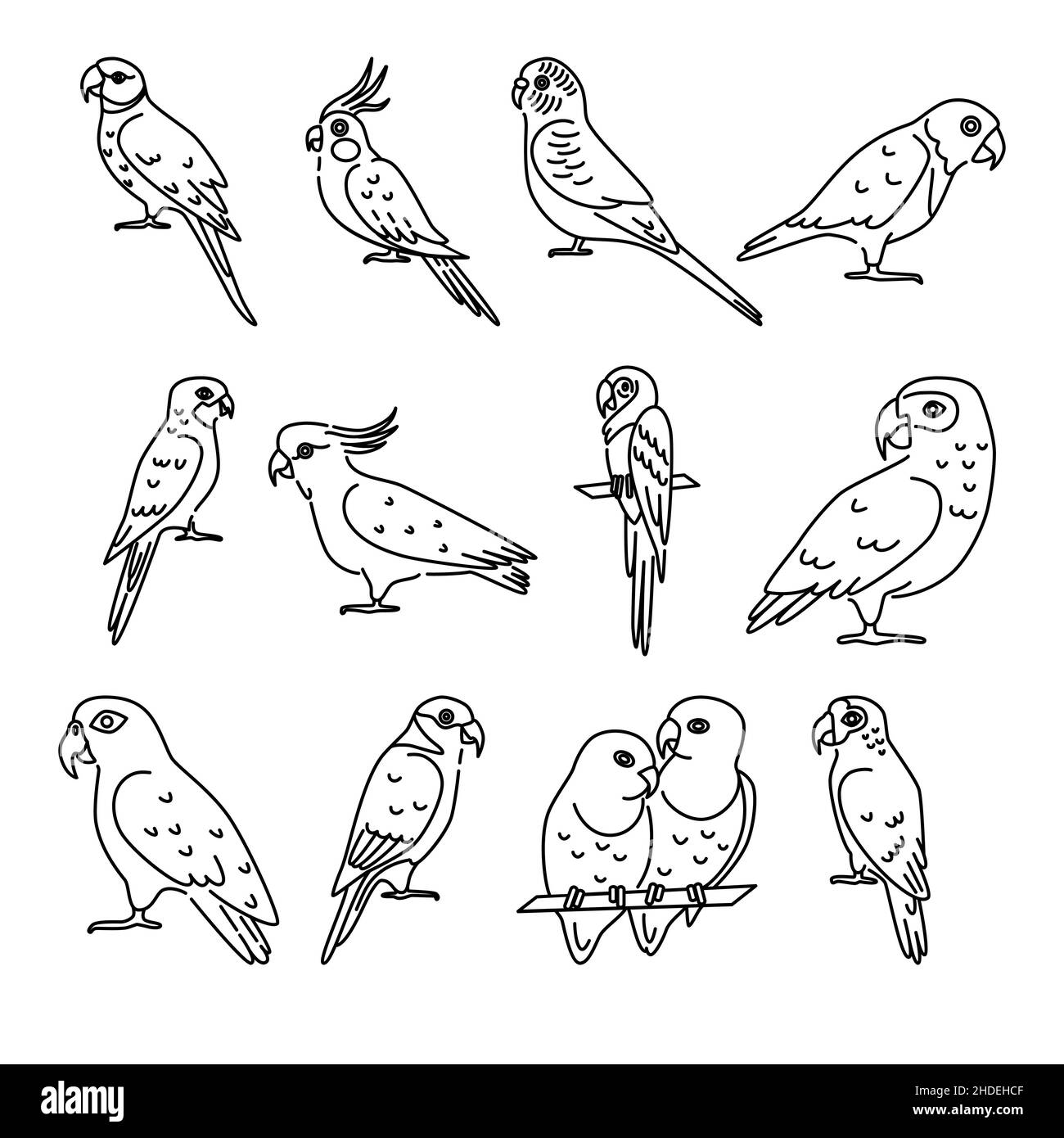 Collection of parrot icons in thin line style. Tropical bird symbols isolated on white background. Stock Vector