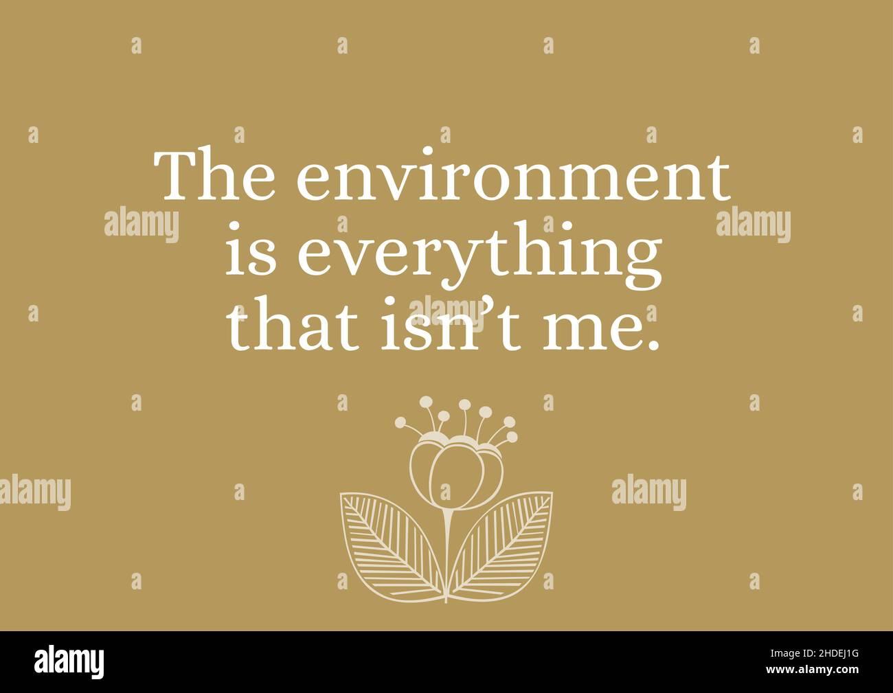 Environment And Me Environmental Quote – The environment is everything that isn't me ...