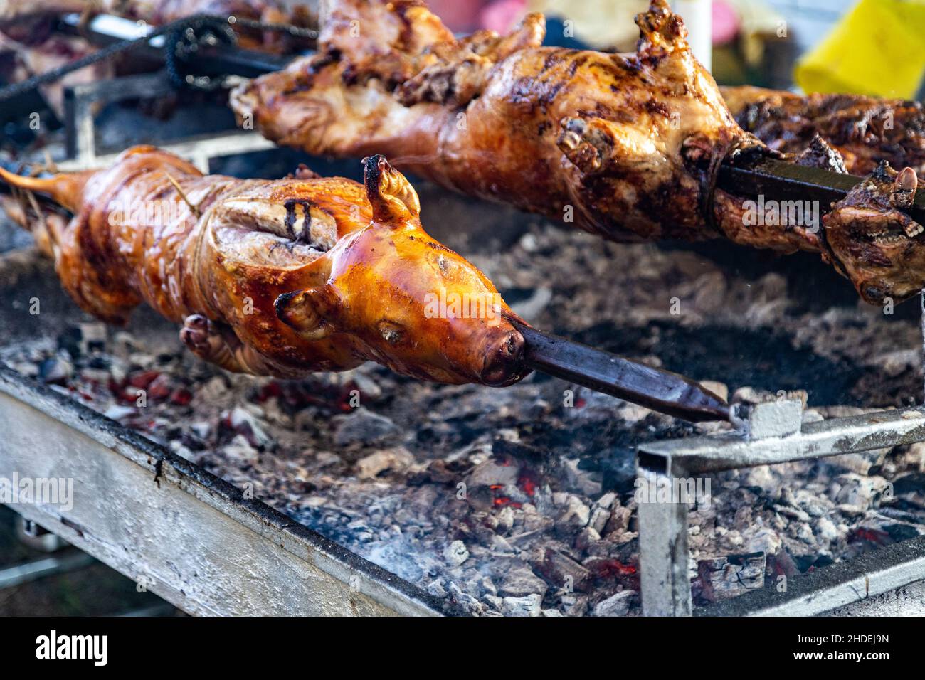 whole pigs for roasting near me whole pigs for roasting near me