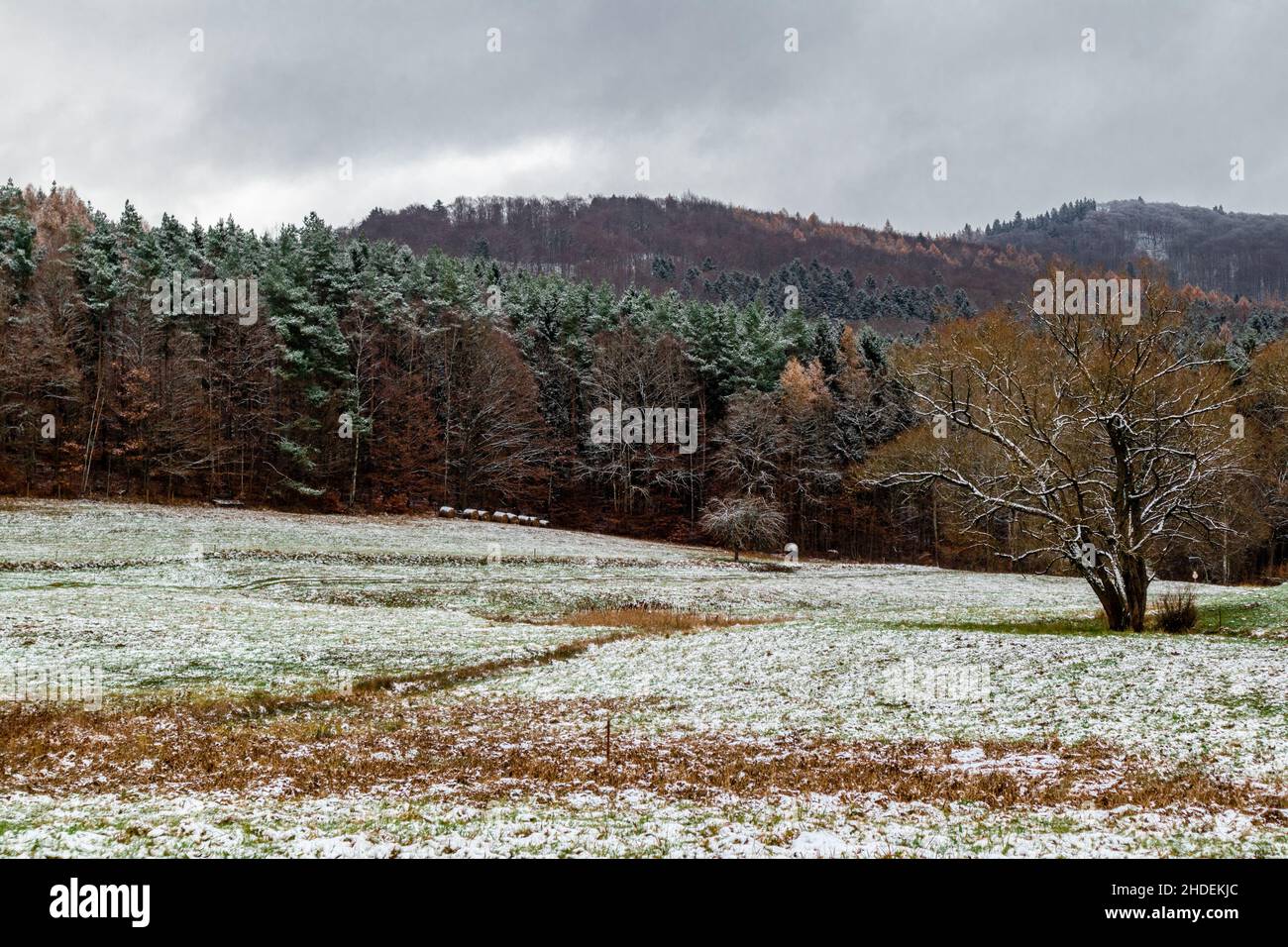 An aerial view of the southwest slope of the Thuringian Forest near Schmalkalden, Thuringia Stock Photo